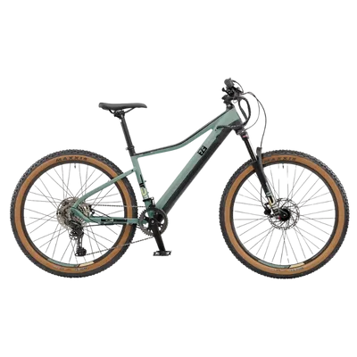 Electric Bikes