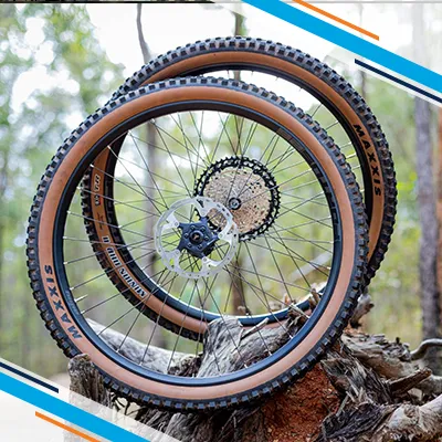 MTB Wheels