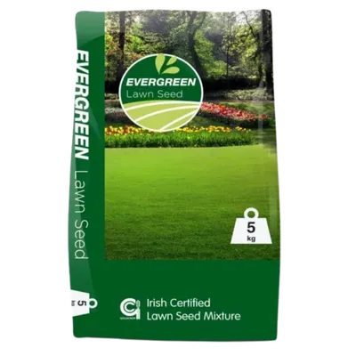 Grass Seed