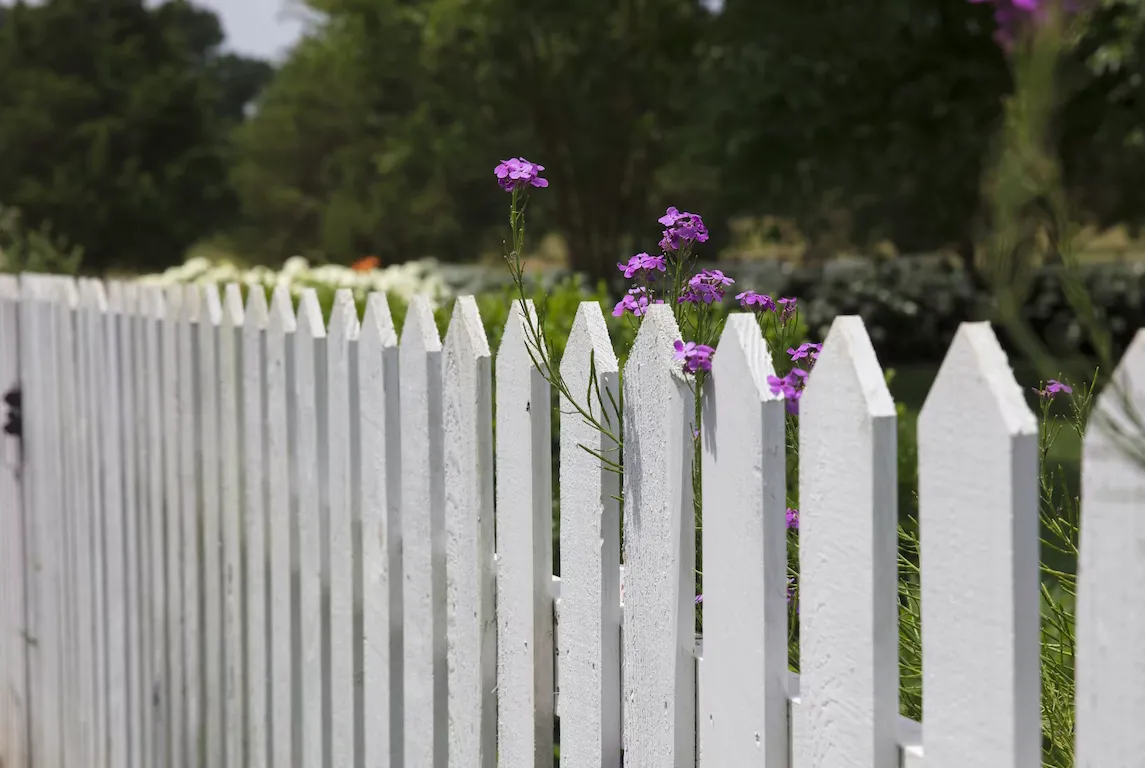 Pressure washer for cleaning fences