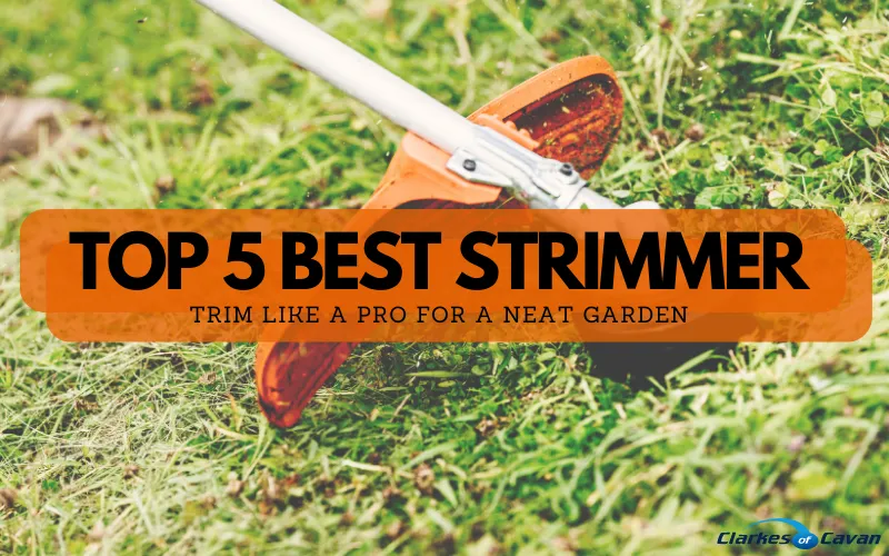 Top 5 Best Strimmers of 2024 - Trim Garden Like a Pro