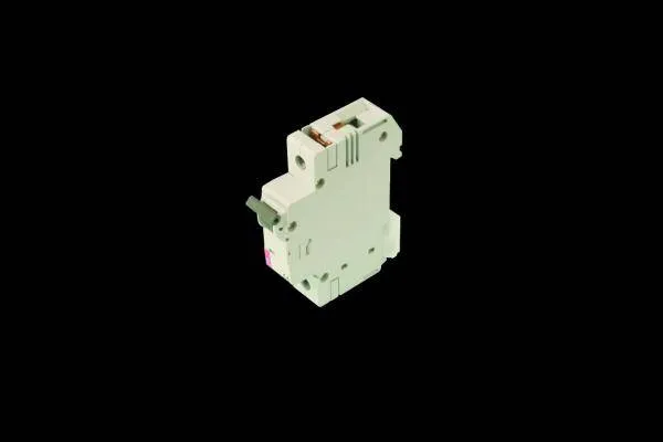 MCB (Mini Circuit Breaker) Switch 6-50Amp - 10 AMP