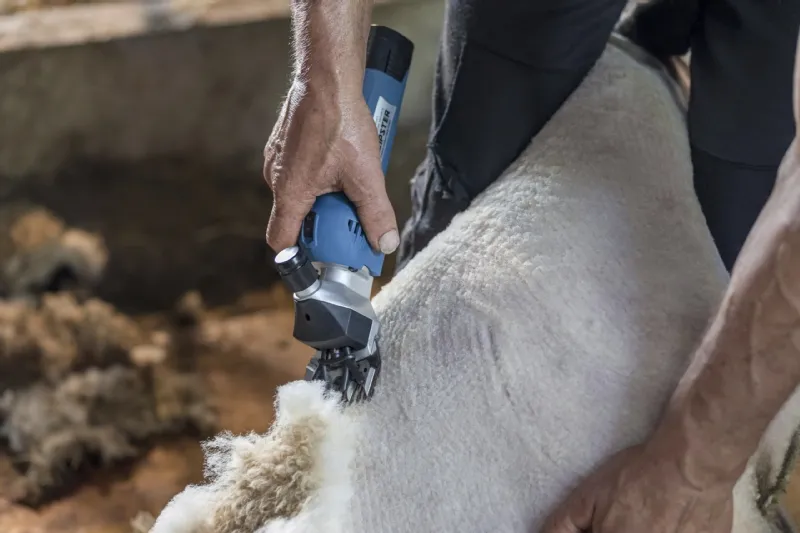 Clipster AKKU2 Battery Sheep Shearer 14.4V – Cordless Clippers for Sheep & Cattle