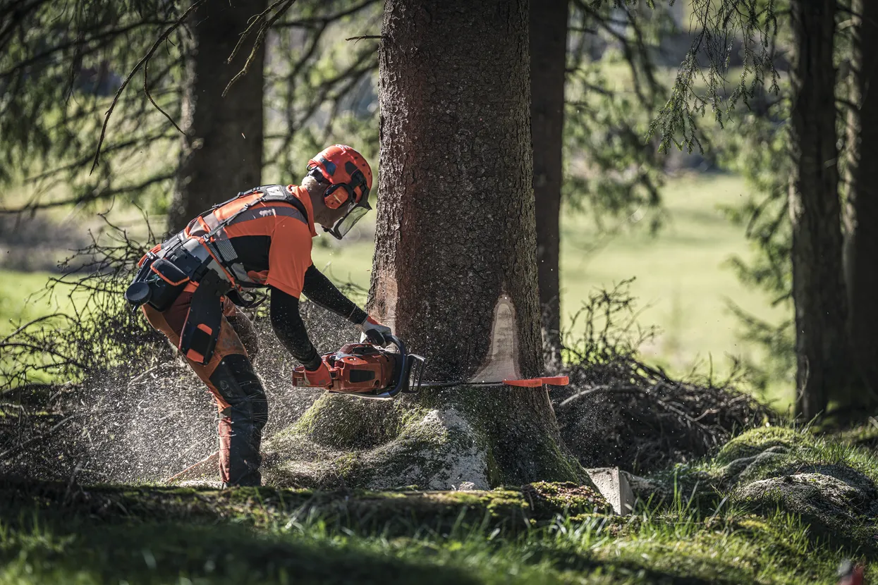 Husqvarna 572 XP Chainsaw