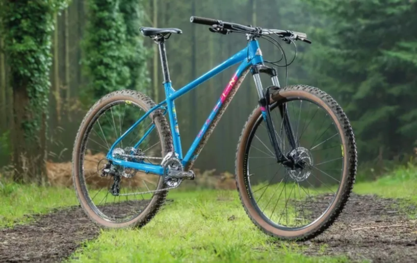 Mountain bike blue hotsell